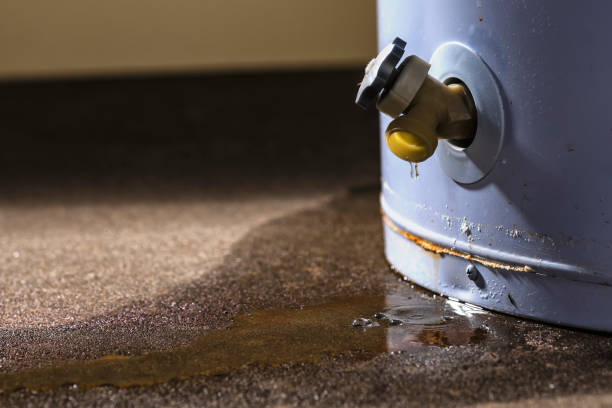 Best Sewage cleanup and water damage restoration  in Marquette Heights, IL