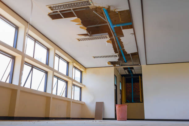 Best Water damage restoration near me  in Marquette Heights, IL