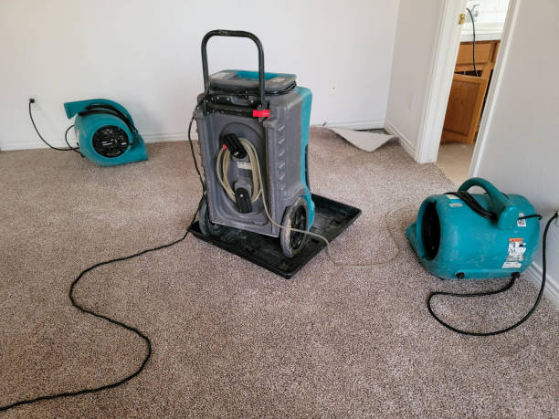 Best Water damage restoration near me  in Marquette Heights, IL