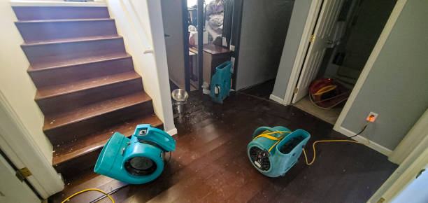 Best Carpet water damage restoration  in Marquette Heights, IL