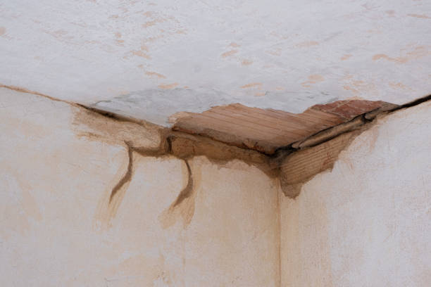 Best Water damage restoration near me  in Marquette Heights, IL
