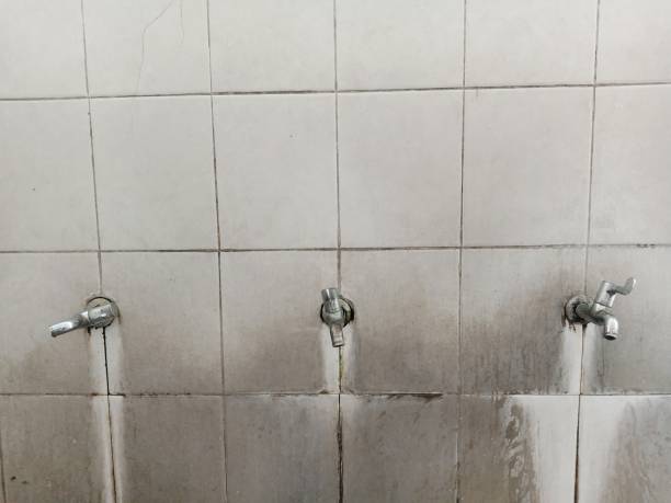 Best 24/7 water damage repair  in Marquette Heights, IL