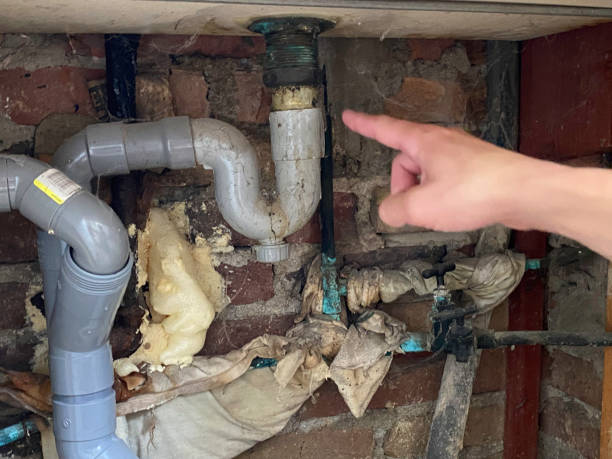 Best Commercial water damage restoration  in Marquette Heights, IL