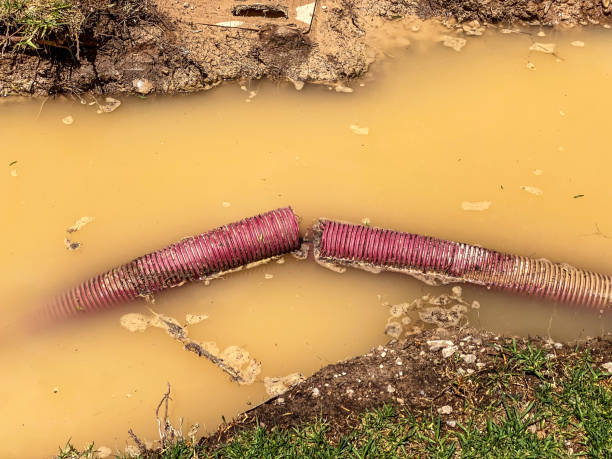 Best Residential water damage restoration  in Marquette Heights, IL