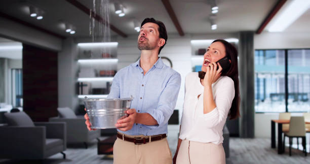 Best Ceiling water damage repair  in Marquette Heights, IL